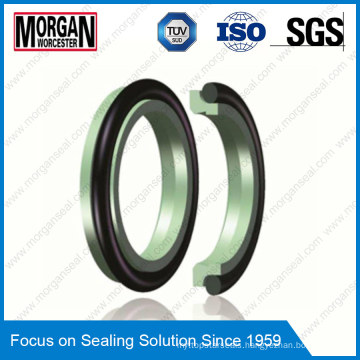 Ad Type Wear Resistance Hydraulic Cylinder Rubber/PTFE Scraper Seal Ring